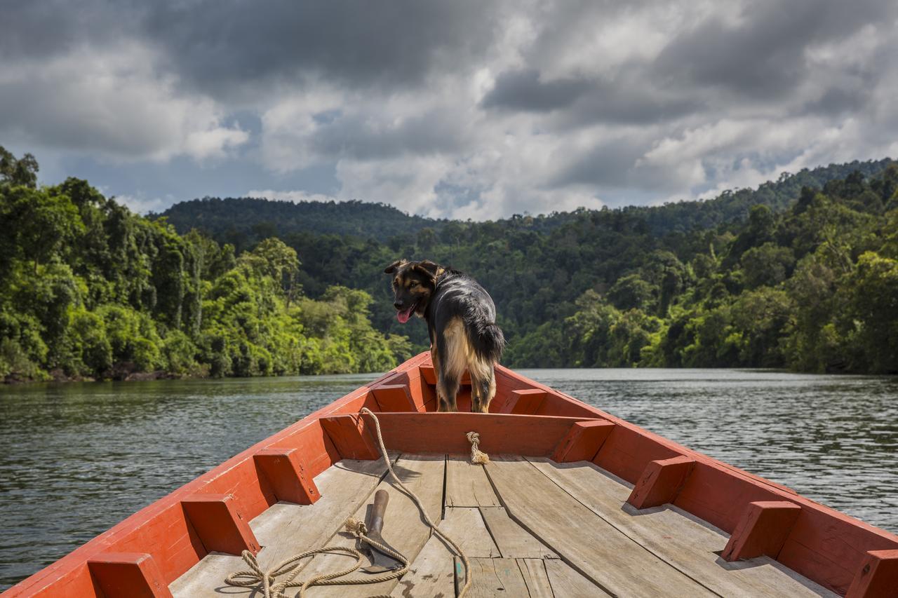 Rainbow Lodge Tatai Ngoại thất bức ảnh
