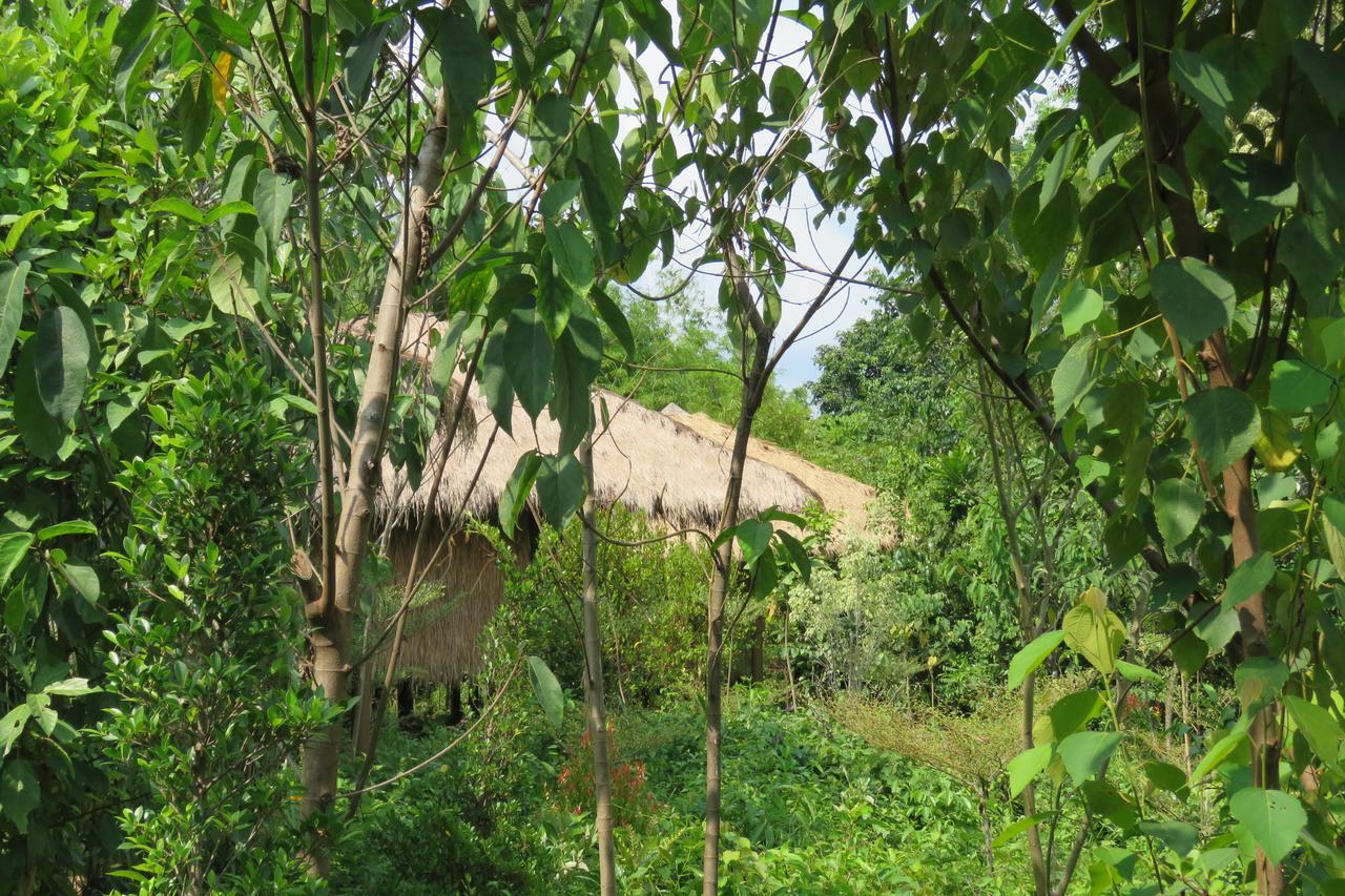 Rainbow Lodge Tatai Ngoại thất bức ảnh